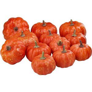 12Pcs Assorted Small Orange Artificial Pumpkins Harvest Decorative Pumpkins Foam